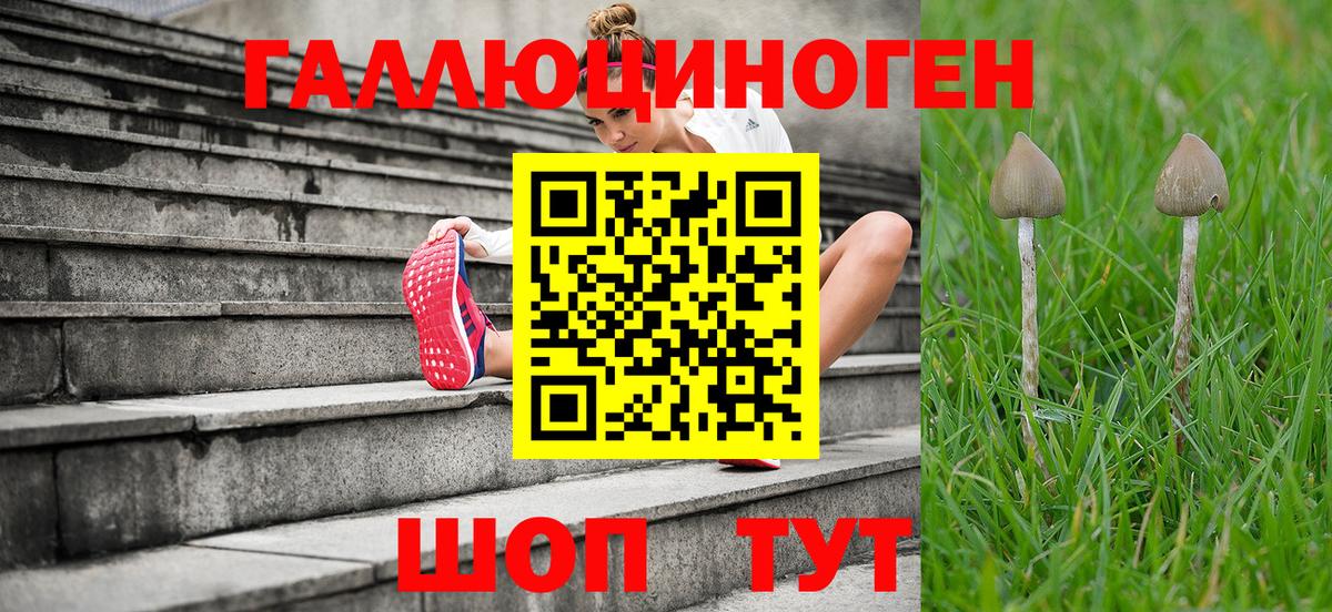 Псилоцибиновые грибы Magic Shrooms Пугачёв